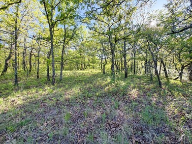 Tucked back in the rolling hills of Hughes County, this 50 +/- - photo 38