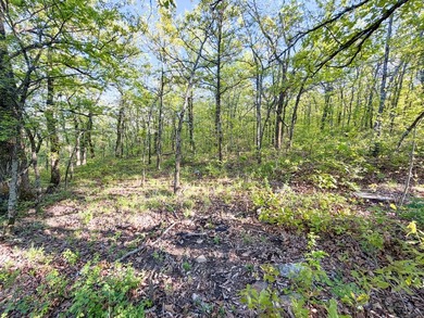 Tucked back in the rolling hills of Hughes County, this 50 +/- - photo 39