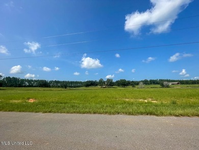 Lake front lots in a beautiful new Subdivision on Highway 63 - photo 40