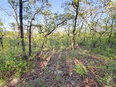 Tucked back in the rolling hills of Hughes County, this 50 +/- - photo 40