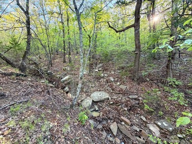 Tucked back in the rolling hills of Hughes County, this 50 +/- - photo 41
