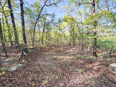Tucked back in the rolling hills of Hughes County, this 50 +/- - photo 43