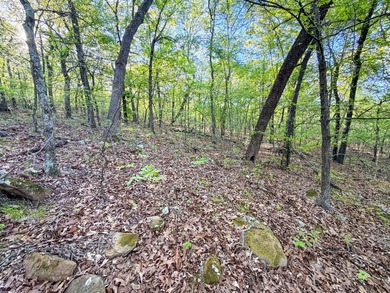Tucked back in the rolling hills of Hughes County, this 50 +/- - photo 44