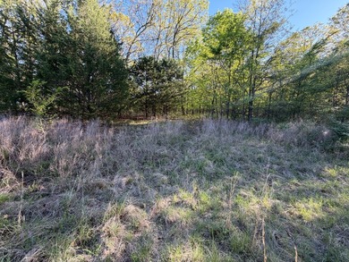 Tucked back in the rolling hills of Hughes County, this 50 +/- - photo 45