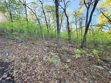 Tucked back in the rolling hills of Hughes County, this 50 +/- - photo 48