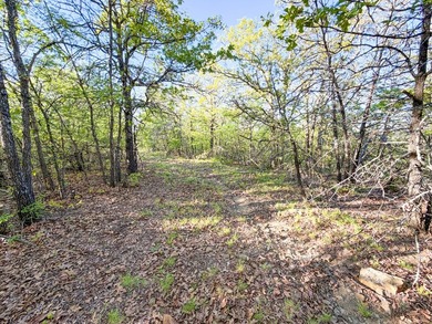Tucked back in the rolling hills of Hughes County, this 50 +/- - photo 49