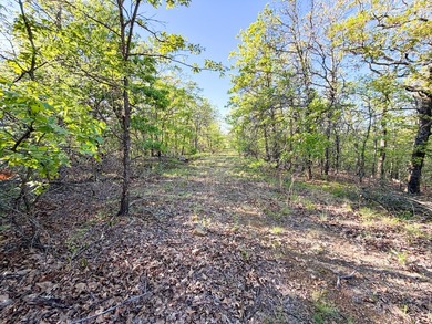 Tucked back in the rolling hills of Hughes County, this 50 +/- - photo 50