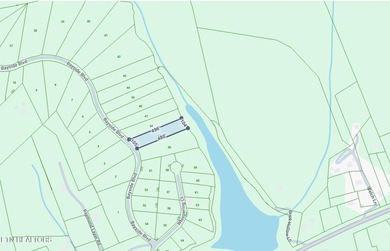 Build your dream home in one of Cherokee Lake's premier gated - photo 21
