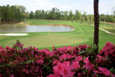 Stunning Garden Home Lot in Eagle's Bluff on Lake Palestine - photo 23
