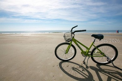 Great view and NO upgrades needed! So lovely and ready to enjoy - photo 17