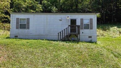 Ohio River Home Sale Pending in Proctorville Ohio