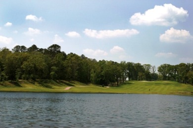Stunning Garden Home Lot in Eagle's Bluff on Lake Palestine - photo 22