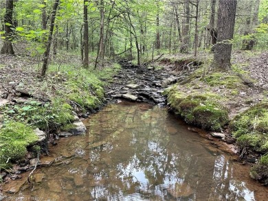 (private lake, pond, creek) Commercial For Sale in Spiro Oklahoma