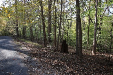 Smith Mountain Lake Lot For Sale in Goodview Virginia