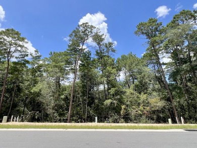 Beautiful lot in the desirable and new Deer Moss Creek Phase 11! - photo 1