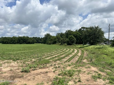This beautiful 28-acre property in the heart of Agricola offers - photo 3