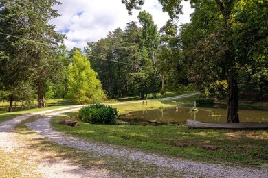 This property features 2 large, custom homes, 51 acres of - photo 2