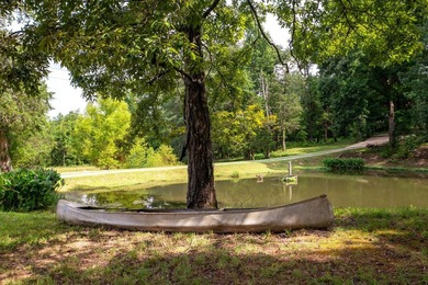 This property features 2 large, custom homes, 51 acres of - photo 3