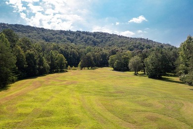 This property features 2 large, custom homes, 51 acres of - photo 8
