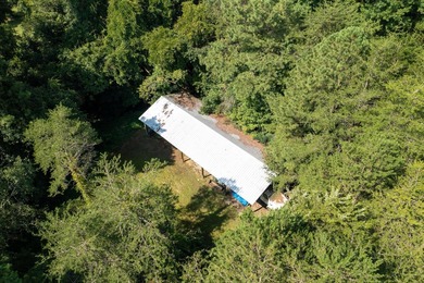 This property features 2 large, custom homes, 51 acres of - photo 10