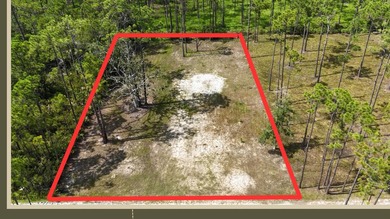Discover the perfect opportunity to own a .30-acre lot in the - photo 1