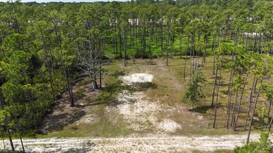 Discover the perfect opportunity to own a .30-acre lot in the - photo 2