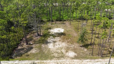Discover the perfect opportunity to own a .30-acre lot in the - photo 3