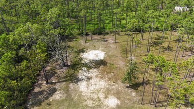 Discover the perfect opportunity to own a .30-acre lot in the - photo 4