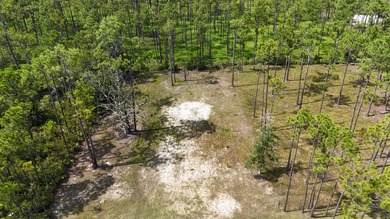 Discover the perfect opportunity to own a .30-acre lot in the - photo 5