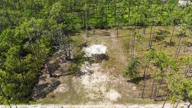 Discover the perfect opportunity to own a .30-acre lot in the - photo 6