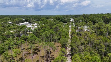 Discover the perfect opportunity to own a .30-acre lot in the - photo 8