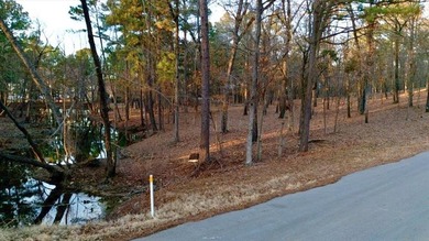Discover your perfect retreat on this stunning 1.488-acre lot - photo 2