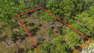 Presenting a prime opportunity to own a .30-acre residential lot - photo 1