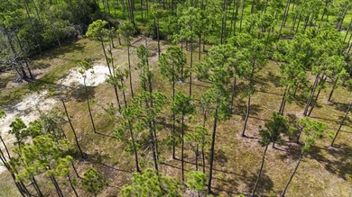 Presenting a prime opportunity to own a .30-acre residential lot - photo 3