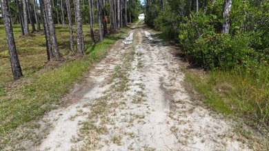 Presenting a prime opportunity to own a .30-acre residential lot - photo 4