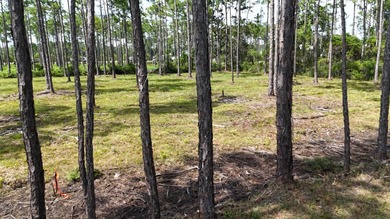 Presenting a prime opportunity to own a .30-acre residential lot - photo 8
