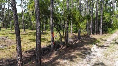 Presenting a prime opportunity to own a .30-acre residential lot - photo 10