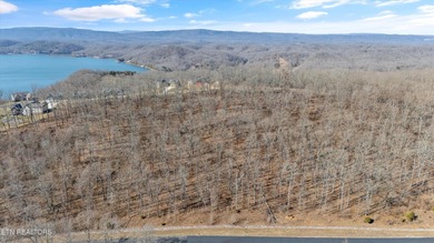 Build your dream home with lake and mountain views! Discover the - photo 11