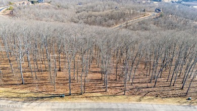 Build your dream home with lake and mountain views! Discover the - photo 14