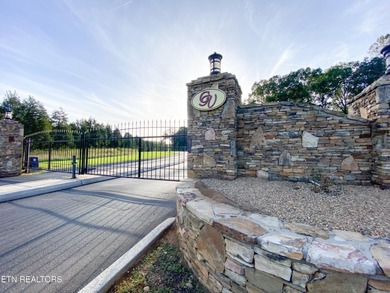 Build your dream home with lake and mountain views! Discover the - photo 15
