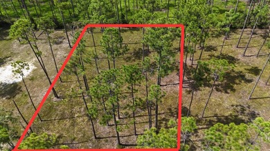 Presenting a prime opportunity to own a .30-acre residential lot - photo 1