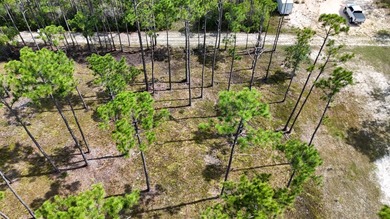 Presenting a prime opportunity to own a .30-acre residential lot - photo 2