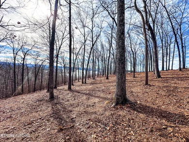 Build your dream home with lake and mountain views! Discover the - photo 22