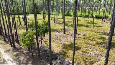 Presenting a prime opportunity to own a .30-acre residential lot - photo 3