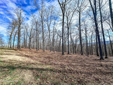 Build your dream home with lake and mountain views! Discover the - photo 23