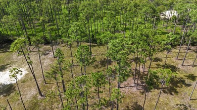 Presenting a prime opportunity to own a .30-acre residential lot - photo 4
