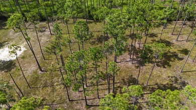Presenting a prime opportunity to own a .30-acre residential lot - photo 5