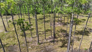 Presenting a prime opportunity to own a .30-acre residential lot - photo 6