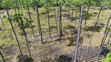Presenting a prime opportunity to own a .30-acre residential lot - photo 7