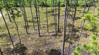 Presenting a prime opportunity to own a .30-acre residential lot - photo 8